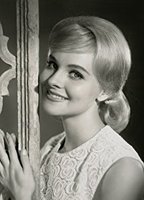 Diane Mcbain
