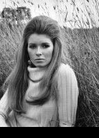Martha Stewart