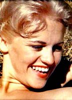Ann Peters