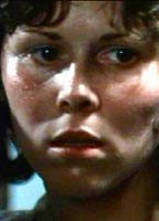 Donna Young