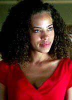 Tawny Cypress