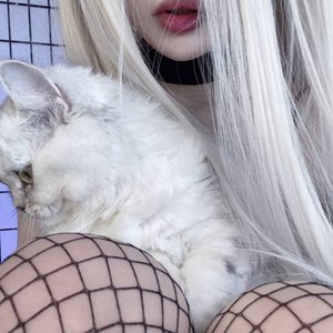 Морфилина Photo #100