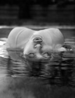 Бейонсе Ноулз Photo #13